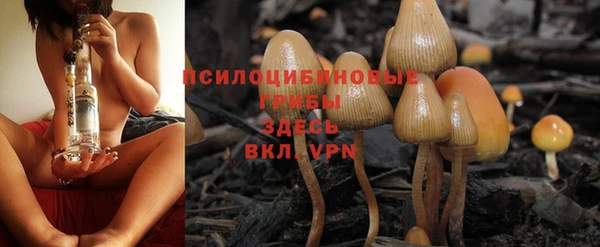наркотики Алексеевка
