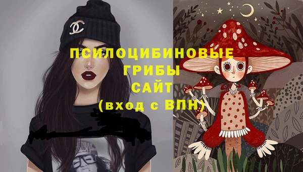 a pvp Алексин