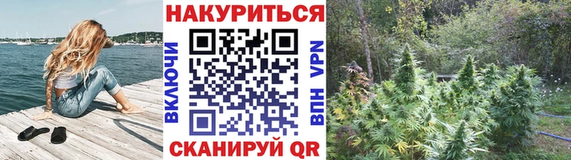 Марихуана семена наркошоп Урай